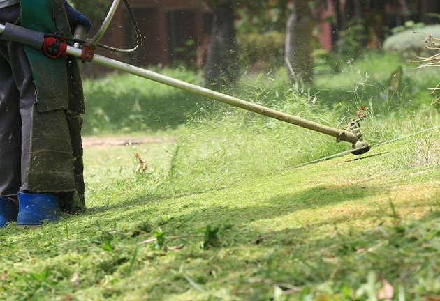 Entretien des espaces verts Montauban | Tarn-et-Garonne