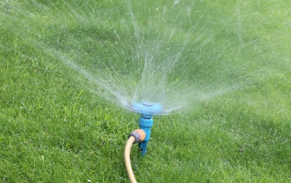 Entretenir son jardin toute l’année