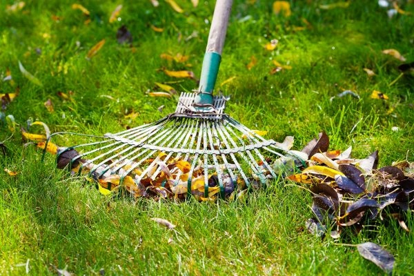 Entretenir son jardin toute l’année