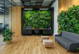 Végétalisation de vos espaces