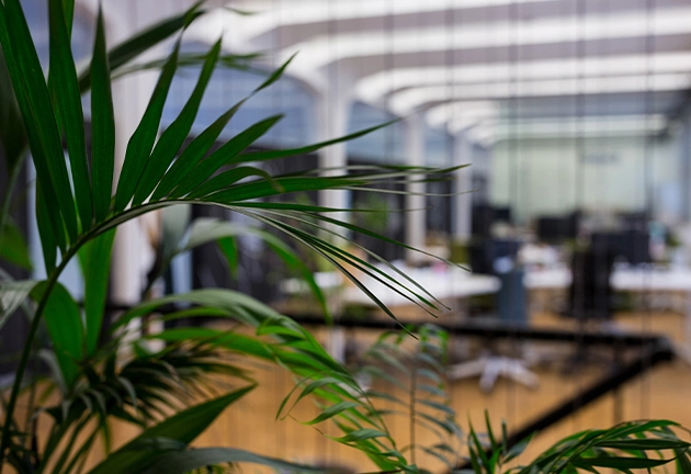 Végétalisation de vos espaces intérieurs et extérieurs